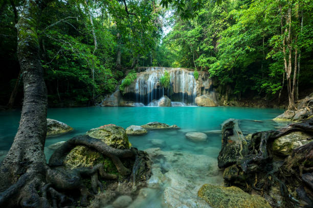 magnifique cascade verte et agréable pour se détendre, couper le souffle et turquoise incroyable de l’eau à la forêt sempervirente, erawan situé cascade khanchanaburi province, thaïlande - waterfall tropical rainforest erawan thailand photos et images de collection