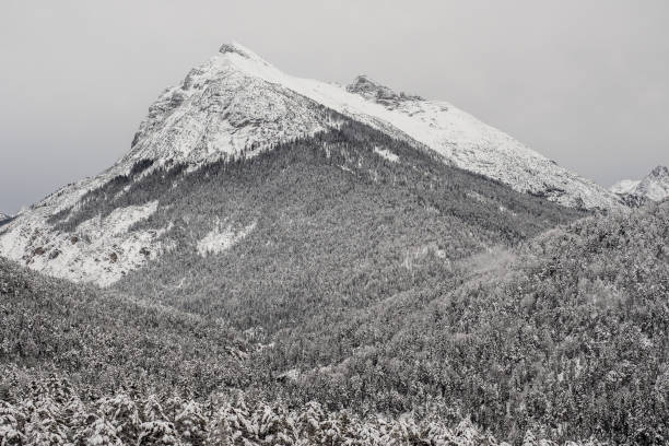 istock Snow-covered mountains in the Karwendel region 904250118