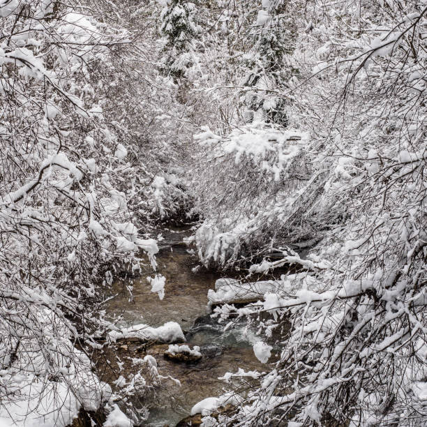 istock Snow-covered brook in the Alps. 904250494