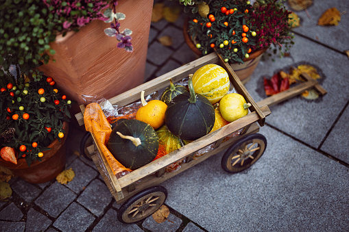 A trolley filled with pumpkins outdoors on the street