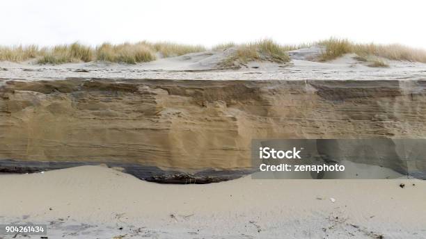 Erodes Sand Dunes Stock Photo - Download Image Now - Beach, Brown, Environment