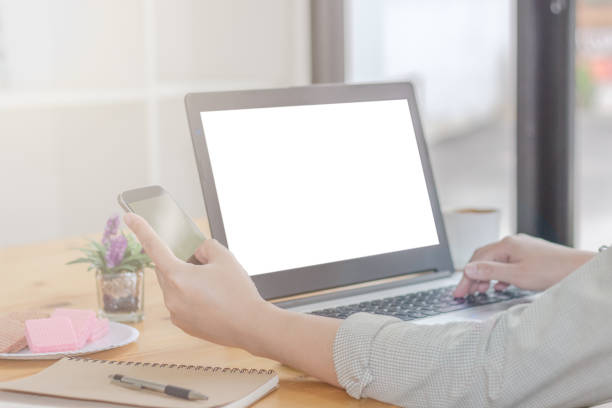 istock Woman Working in Coffee Shop 904261500