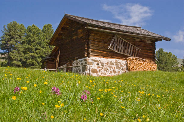istock landscape in Val Gardena 904263458