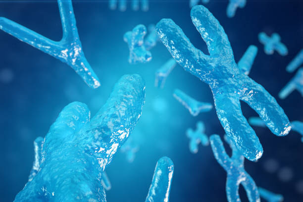 3d ilustración cromosomas xy como un concepto de biología humana símbolo médico gene terapia o microbiología genética de investigación - alimento genéticamente modificado fotografías e imágenes de stock