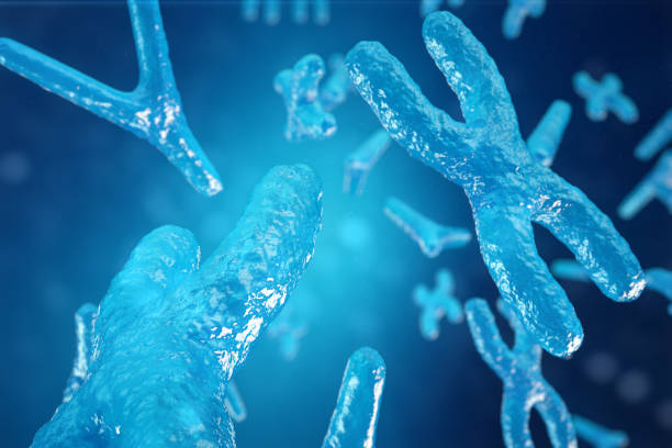 ilustracja 3d chromosomy xy jako koncepcja terapii genowej symbolu biologii człowieka lub badań genetyki mikrobiologii - genetic modified food zdjęcia i obrazy z banku zdjęć