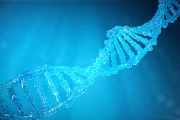 molécula de adn de hélice con genes modificados. corregir la mutación por ingeniería genética. genética molecular de concepto, ilustración 3d - nucleotides fotografías e imágenes de stock