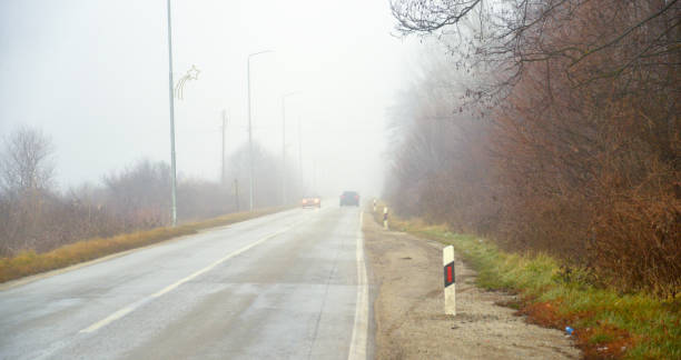 istock An asphalt road with fog in winter 904268406