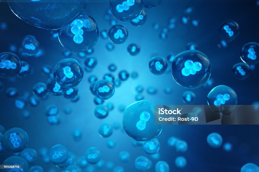 Human or animal cells on blue background. Concept Early stage embryo Medicine scientific concept, Stem cell research and treatment. 3D illustration. Human or animal cells on blue background. Concept Early stage embryo Medicine scientific concept, Stem cell research and treatment, 3D illustration Biological Cell Stock Photo