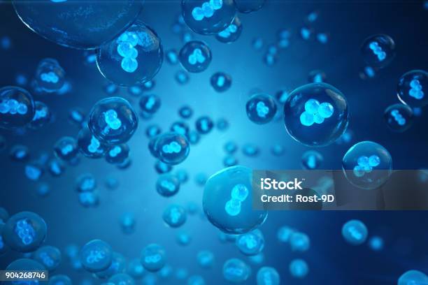 Human Or Animal Cells On Blue Background Concept Early Stage Embryo Medicine Scientific Concept Stem Cell Research And Treatment 3d Illustration Stock Photo - Download Image Now