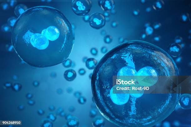 Human Or Animal Cells On Blue Background Concept Early Stage Embryo Medicine Scientific Concept Stem Cell Research And Treatment 3d Illustration Stock Photo - Download Image Now