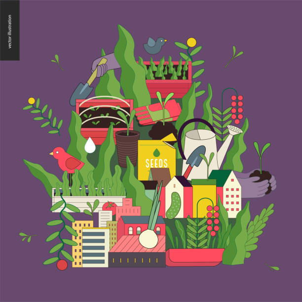 illustrazioni stock, clip art, cartoni animati e icone di tendenza di collage di agricoltura urbana e giardinaggio - vegetable garden illustrations
