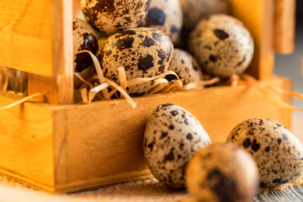 istock Quail eggs on old brown wooden surface 904280854