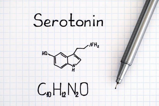 istock Chemical formula of Serotonin with pen. 904281412