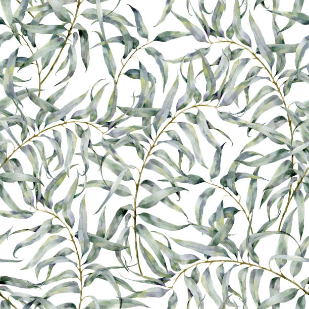 ilustrações de stock, clip art, desenhos animados e ícones de watercolor floral pattern with eucalyptus branch. hand painted ornament with exotic leaves isolated on white background. for design or print - eucalyptus tree tree australia tropical rainforest