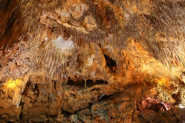 istock Formations in Damlatas Cave, Alanya, Antalya, Turkey 904284614