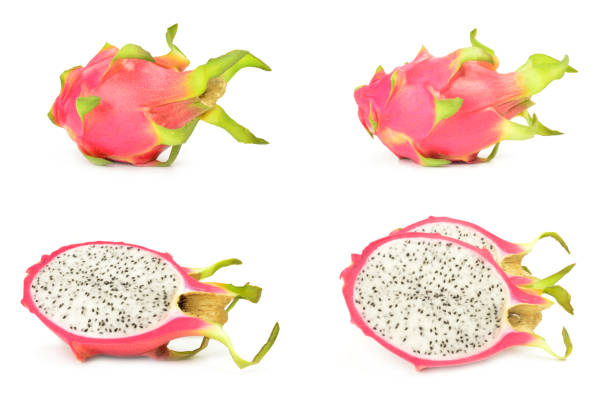 istock Group of stenocereus isolated on a white background with clipping path 904285776