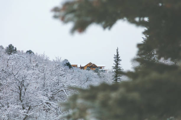 High Altitude Hunting area light snowfall in winter on the Grand Mesa in western Colorado treed areas and hillside - photographed in outdoor settings with focal distance and composition variations (photos professionally retouched - Lightroom / Photoshop - original size 5616 x 3744) iStock Portfolio: http://bit.ly/eyecrave_istock Getty Images Portfolio: http://bit.ly/eyecrave_getty