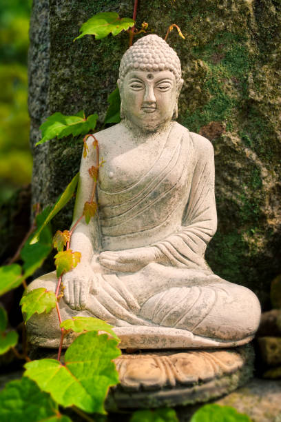 istock buddha statue with plants on warm day 904288778