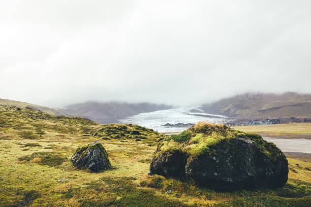 Beautiful mossy landscape near Kviarjokull (Vatnajokull) glacier in south Iceland.