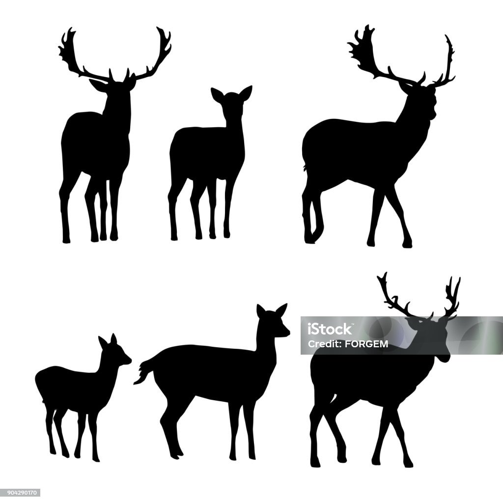 Jeu de silhouettes de vecteur de cerfs et daims fauve isolé sur fond blanc - clipart vectoriel de Daim - Famille du cerf libre de droits