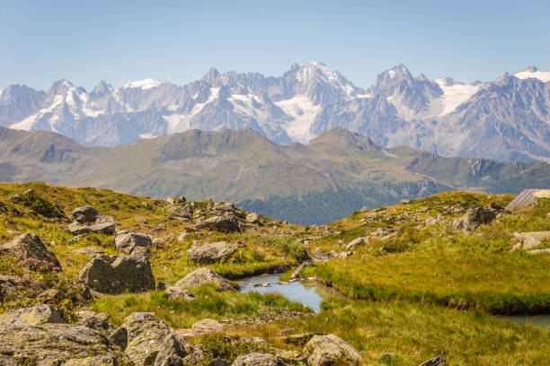 istock Switzerland alpine meadow with wild flowers and river 904292886
