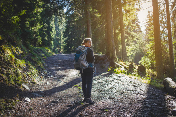 istock Teen Hiker Walks in Forest 904293342