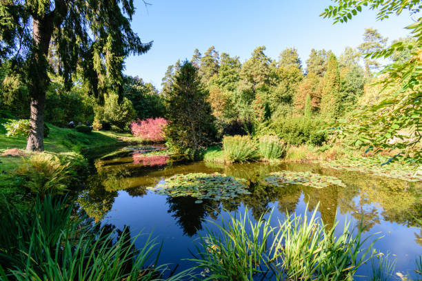istock sunny day in summer park 904293922