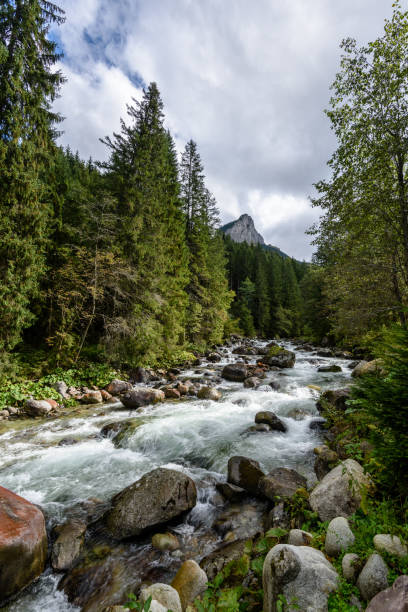istock mountain river in summer. Bialka river, Poland 904294212