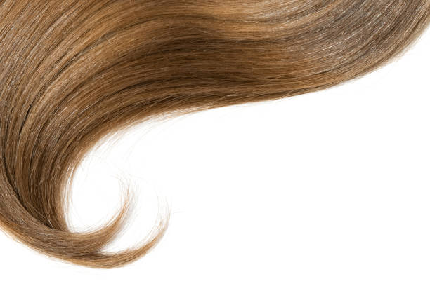 istock Curl of natural hair on a white background 904301114