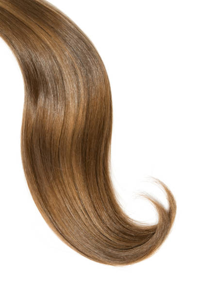 istock Curl of natural hair on a white background 904301116