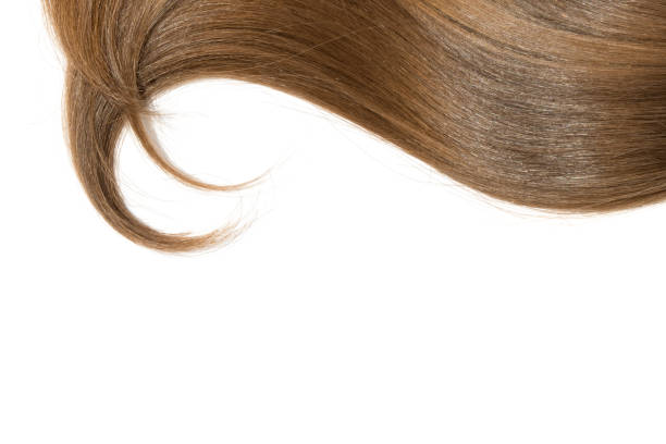 istock Curl of natural hair on a white background 904301210