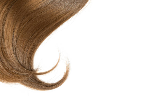 istock Curl of natural hair on a white background 904301212