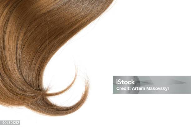 Curl Of Natural Hair On A White Background Stock Photo - Download Image Now - Bright, Brown, Care