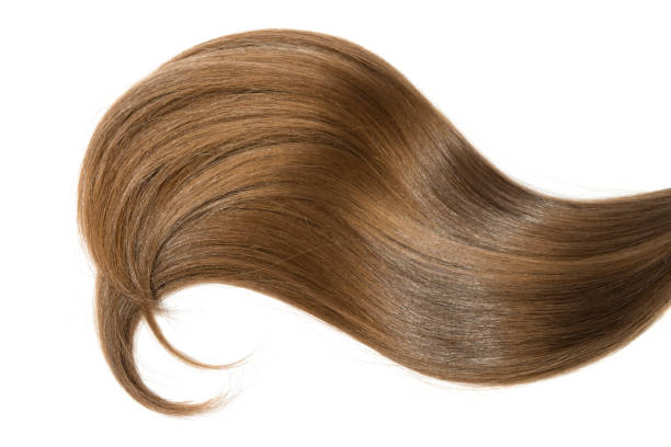 istock Curl of natural hair on a white background 904301214