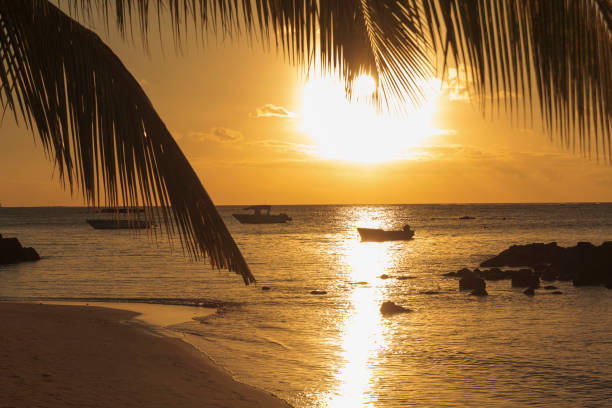 istock Sunset at Mauritius. Beach with palm and boat. 904301612
