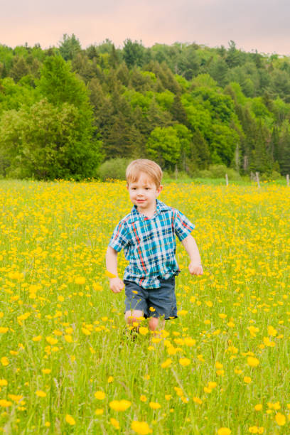 istock Young boy running, walking and dancing in a field 904301802
