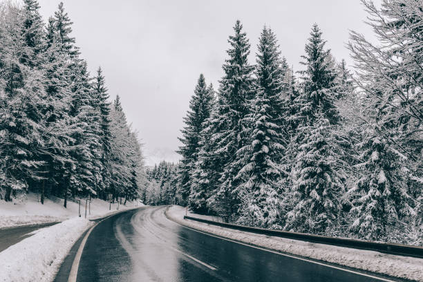 istock Windig road. Winter road through forest. Snow covered trees. 904302066