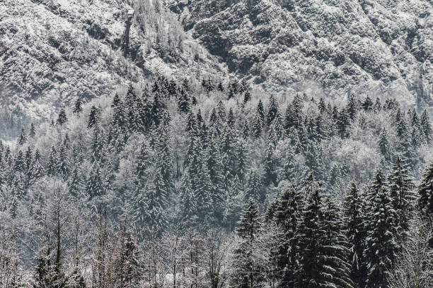 istock Amazing mountains. Winter landscape. 904302074