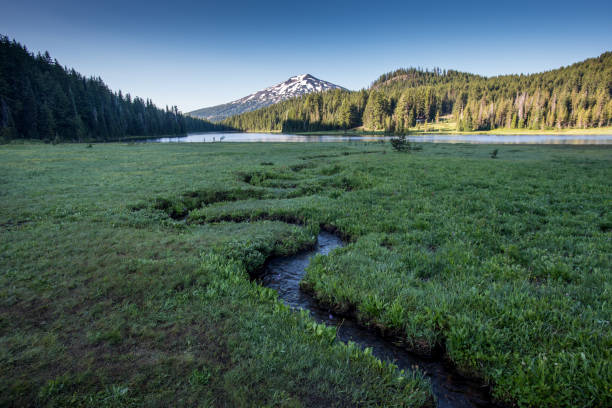istock Alpine meadow with creek winding through 904302728