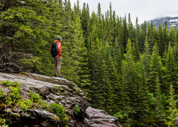 Man With Arms Raised at Edge Of The World Hiking Trail, Jasper, Alberta, Canada