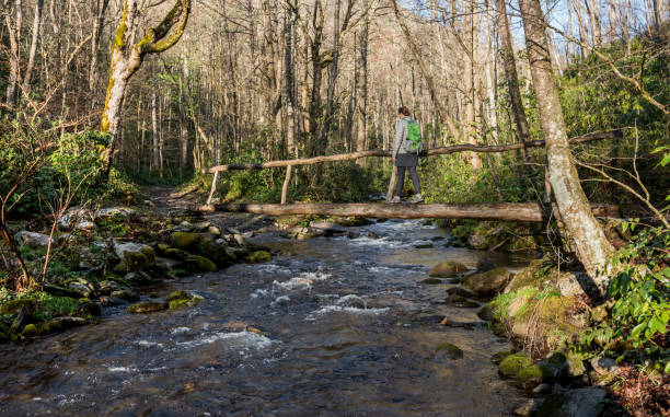Woman Crosses Log Bridge in Early Spring