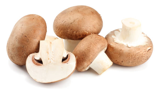 istock Fresh champignon mushrooms isolated on white background 904321334