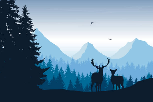 illustrazioni stock, clip art, cartoni animati e icone di tendenza di illustrazione vettoriale realistica del paesaggio montano con foresta, cervo e aquila - bird hunter