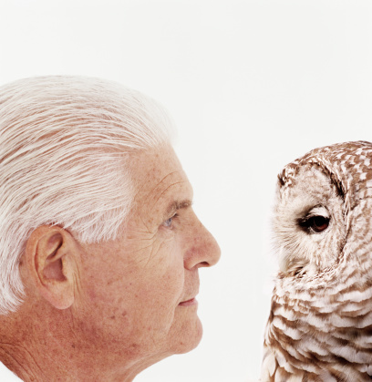 Senior man looking eye to eye with an owl