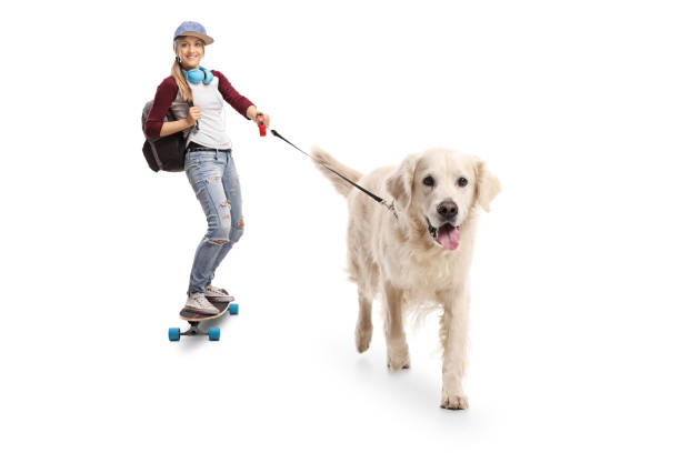 istock Female skater with a backpack riding a longboard and walking a dog 904324192