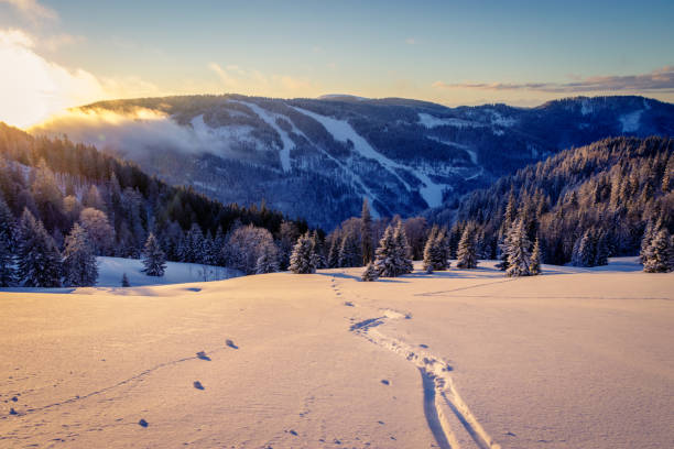 백컨트리 스키 차분히 튀는 눈에에서 일출에 의해 예 열 태양 광선. - cross country skiing black forest germany winter 뉴스 사진 이미지