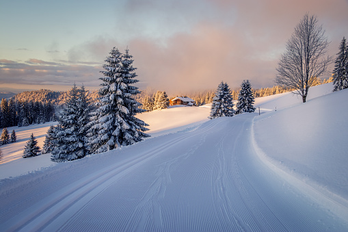 Early morning snow covered black forest warmed up by the sun rays. The sky is opening up and the fir trees are covered with snow after the storm the day before. The cross country ski track is prepared