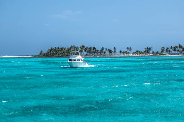 wiederkehrende tauchboot - lighthouse reef stock-fotos und bilder