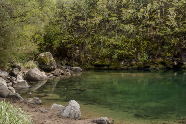 istock Chilean nature and wildlife 904335492