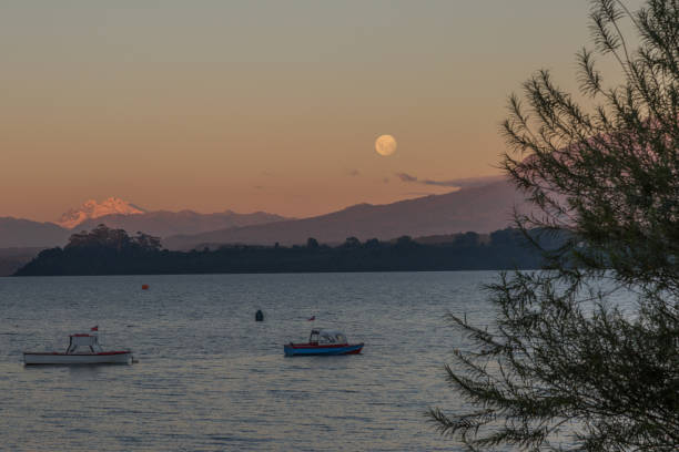 чилийская природа и дикая природа - bariloche argentina andes autumn стоковые фото и изображения